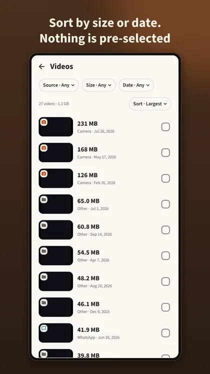 Video list sorted largest first, with filters for source, size and date and no item selected.
